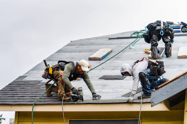 Professional Flat Roof Repair technician working in Prescott, IA